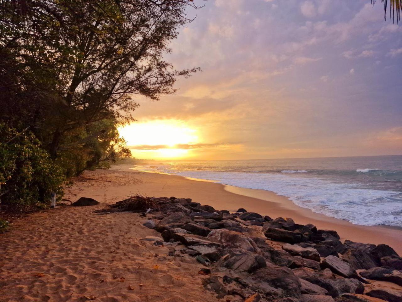 Panorama Beach Hotel Tangalle Buitenkant foto